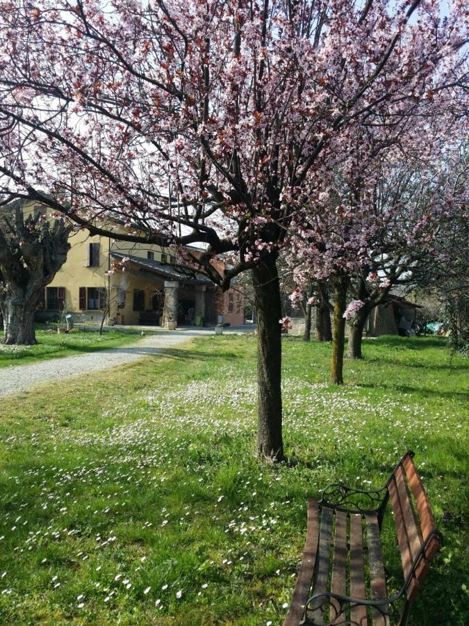 R&B Albero Cavo Parma B&B 외부 사진