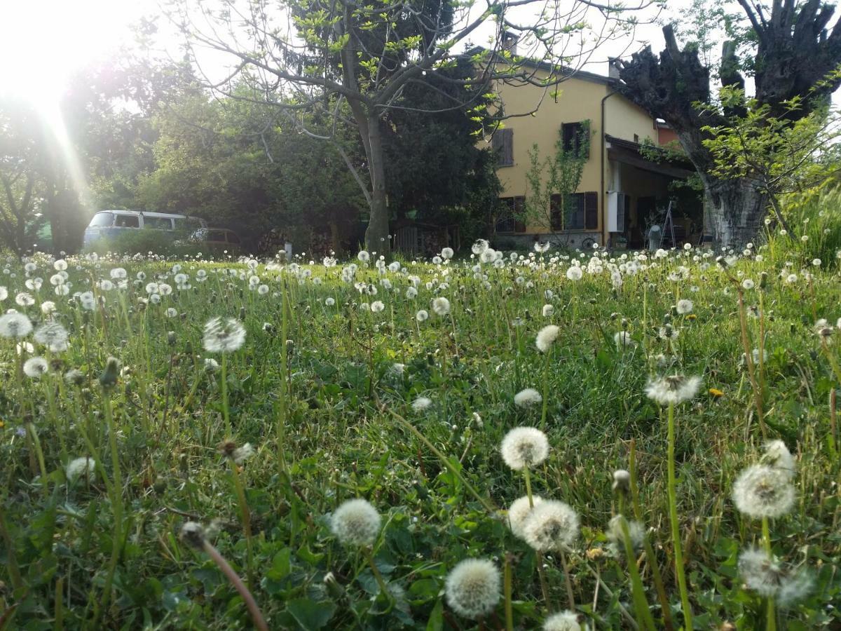 R&B Albero Cavo Parma B&B 외부 사진