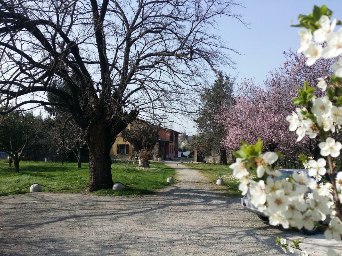 R&B Albero Cavo Parma B&B 외부 사진